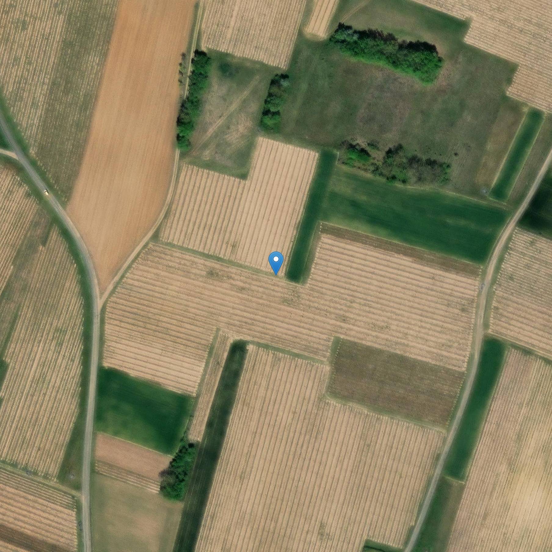 Photo de Menhir du Gresil de Vaudelnay