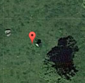 Menhir du Gué Blandin de Izé 