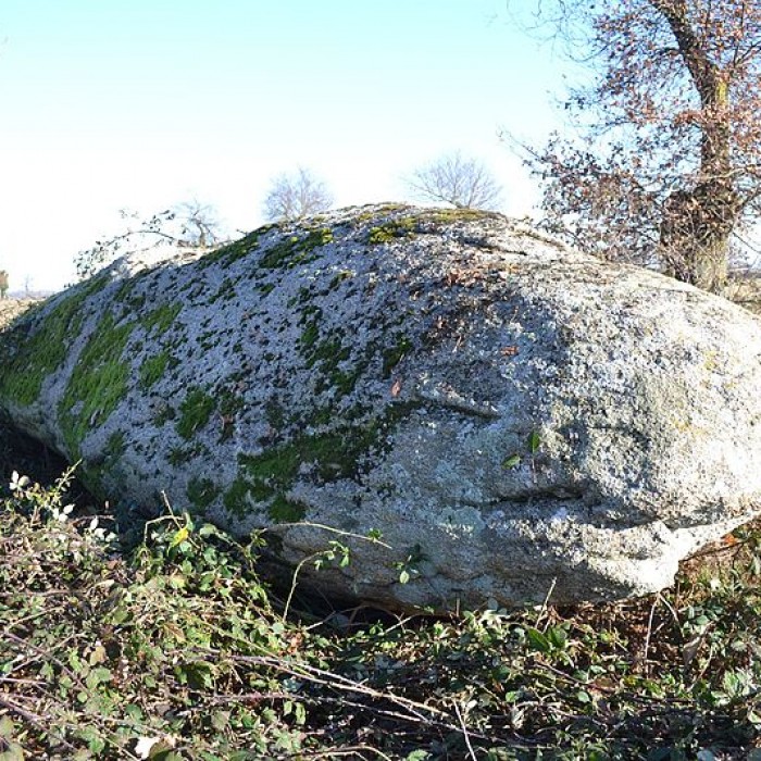 Photo de Menhir du moulin à vent de Normandeau à La Renaudière