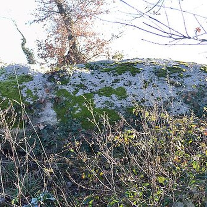 Photo de Menhir du moulin à vent de Normandeau à La Renaudière