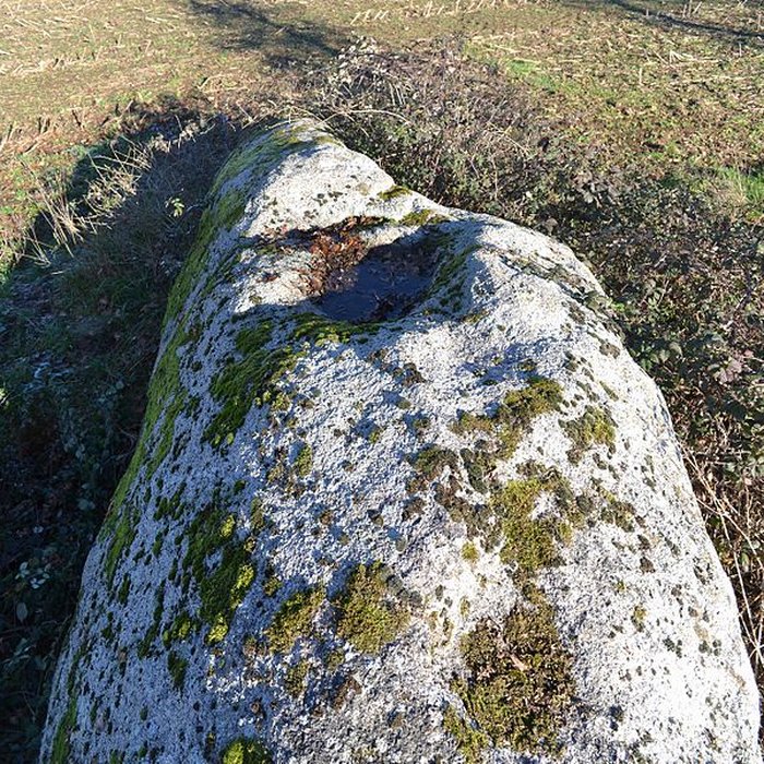 Photo de Menhir du moulin à vent de Normandeau à La Renaudière