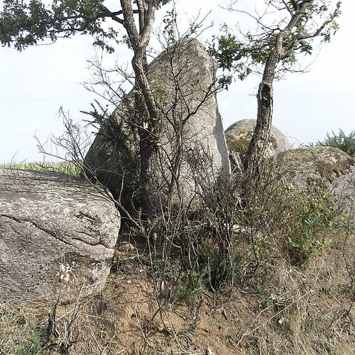 Photo de Menhir du moulin à vent de Normandeau à La Renaudière