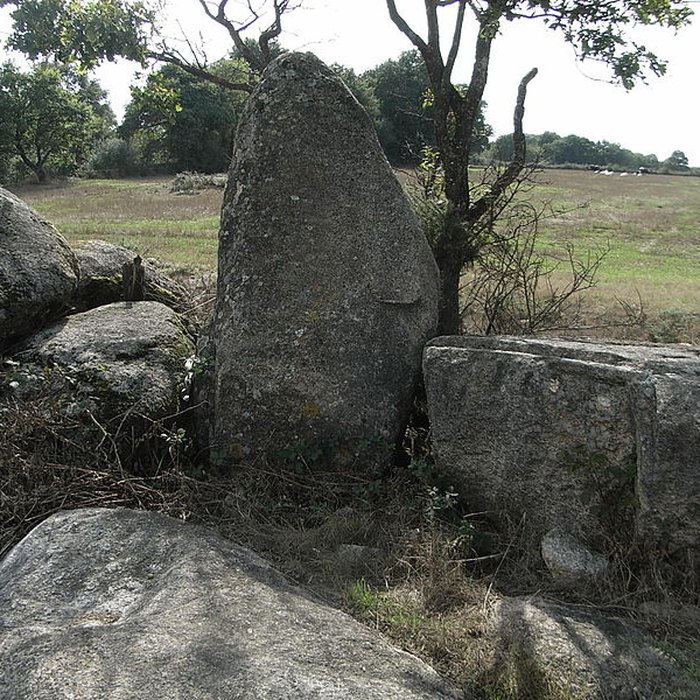 Photo de Menhir du moulin à vent de Normandeau à La Renaudière