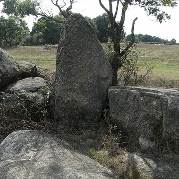 Menhir du moulin à vent de Normandeau à La Renaudière