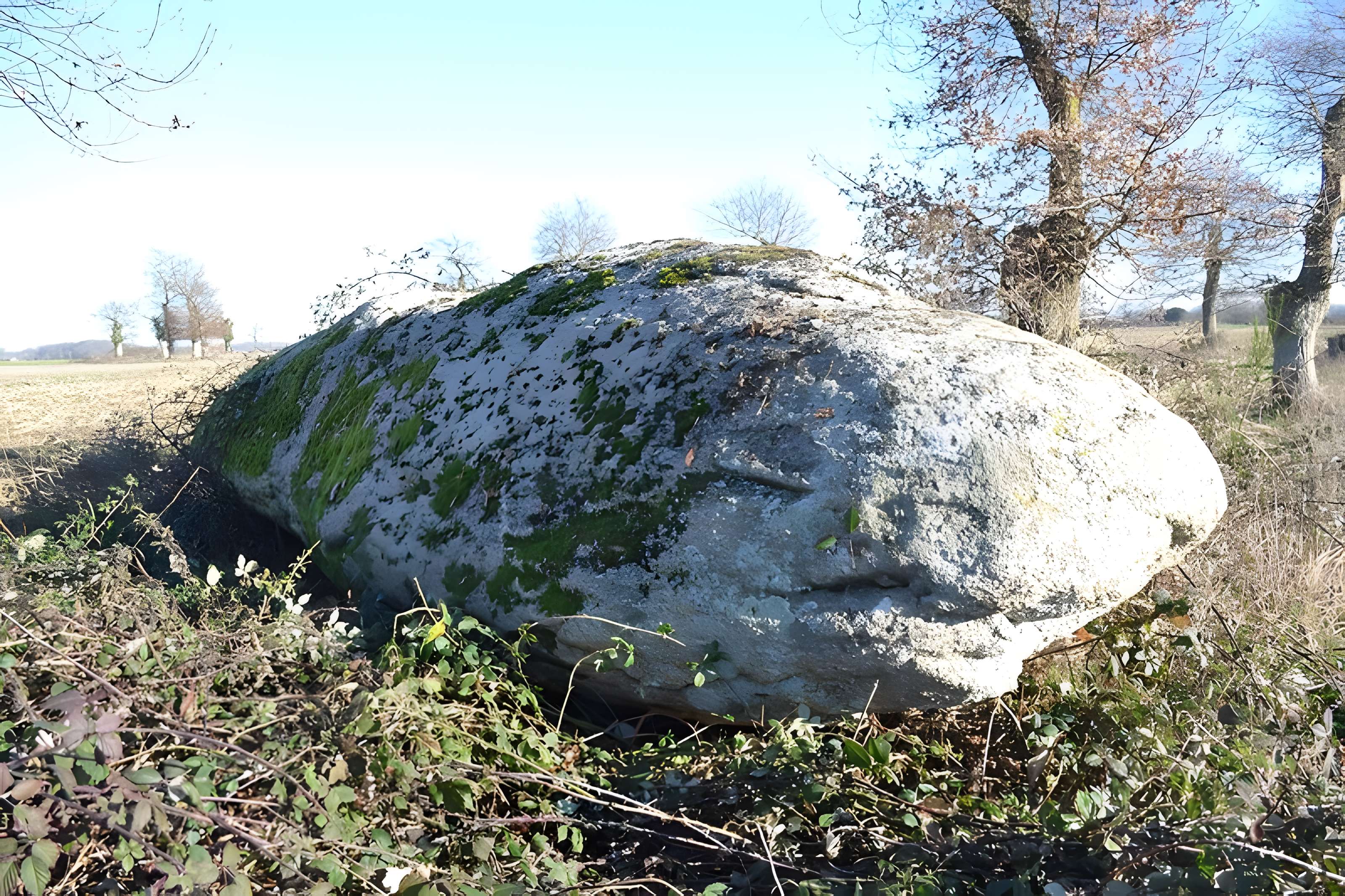 Menhir du moulin à vent de Normandeau à La Renaudière 