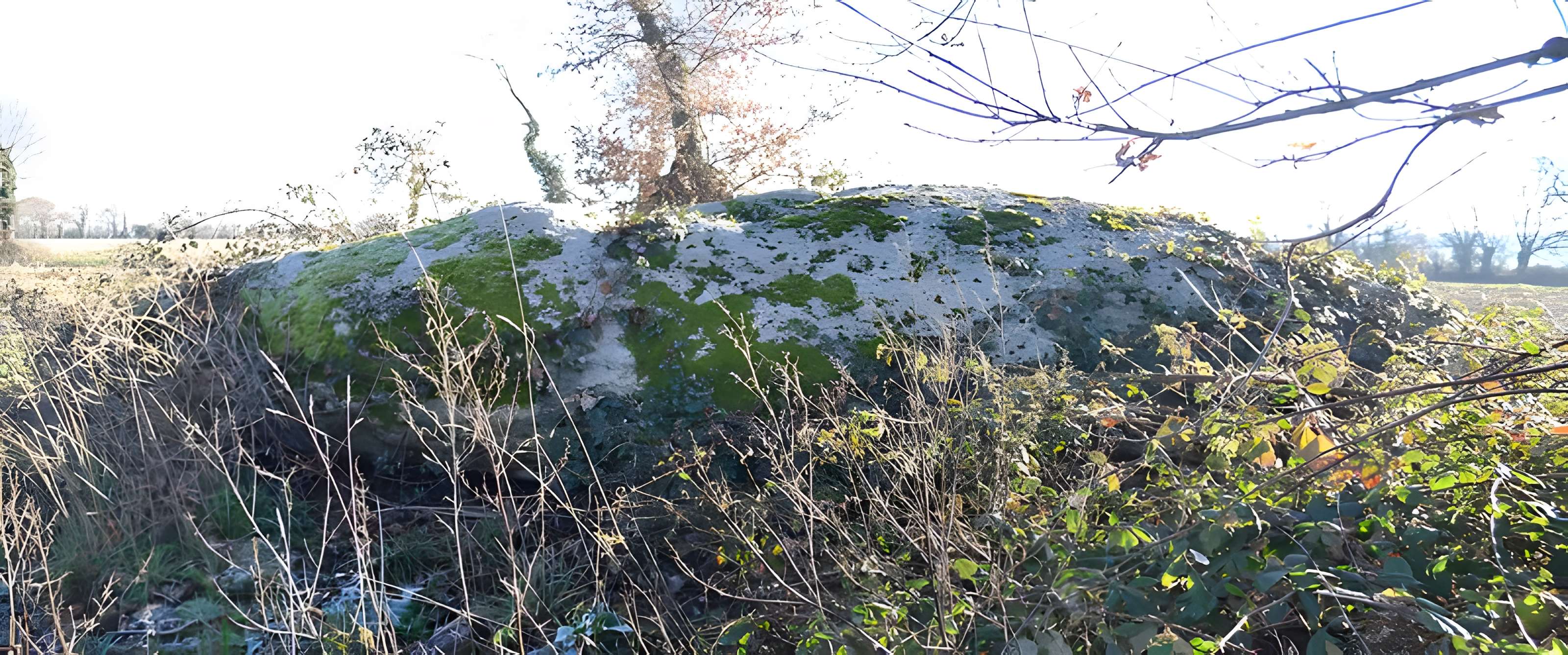 Menhir du moulin à vent de Normandeau à La Renaudière