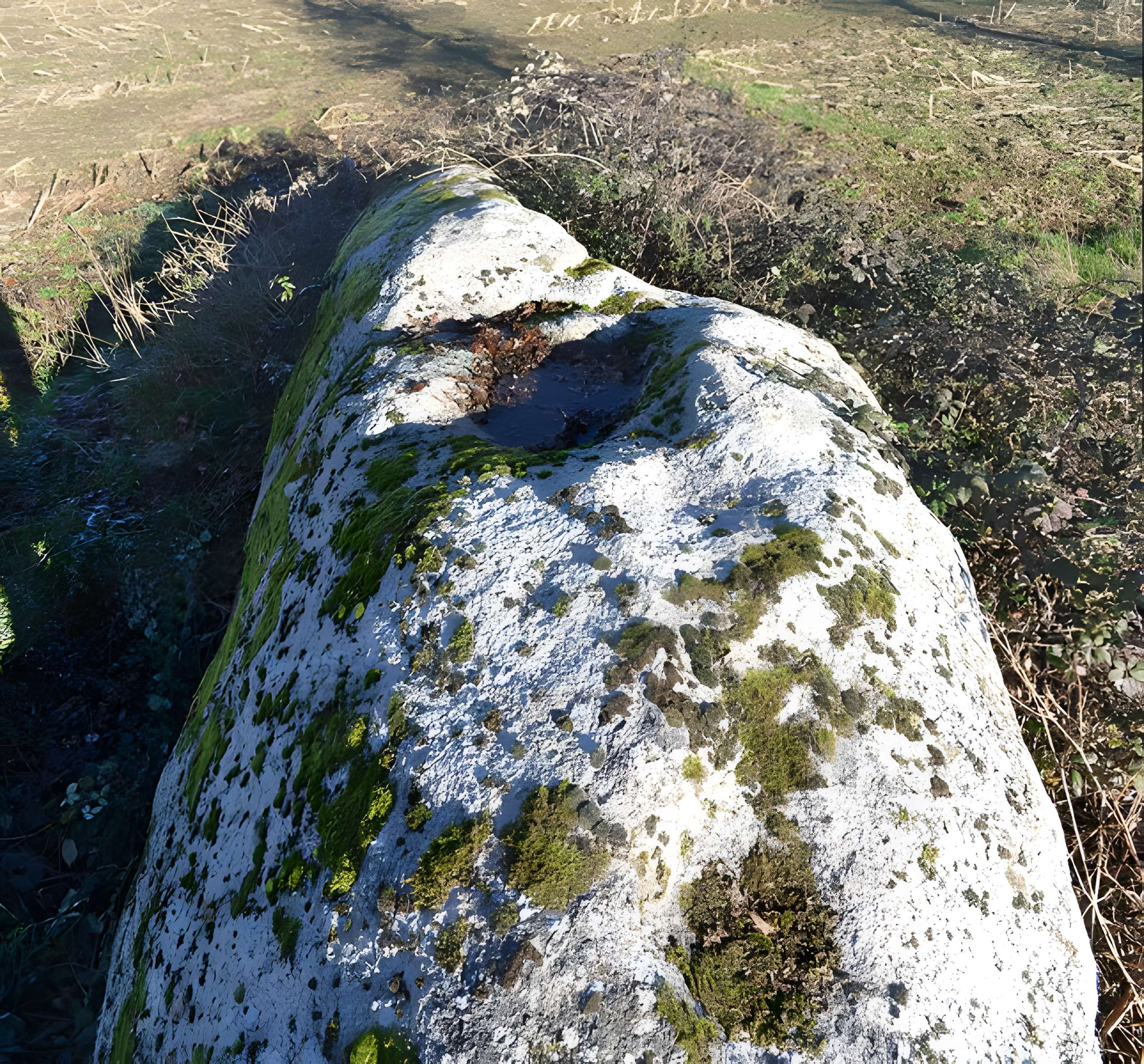 Menhir du moulin à vent de Normandeau à La Renaudière