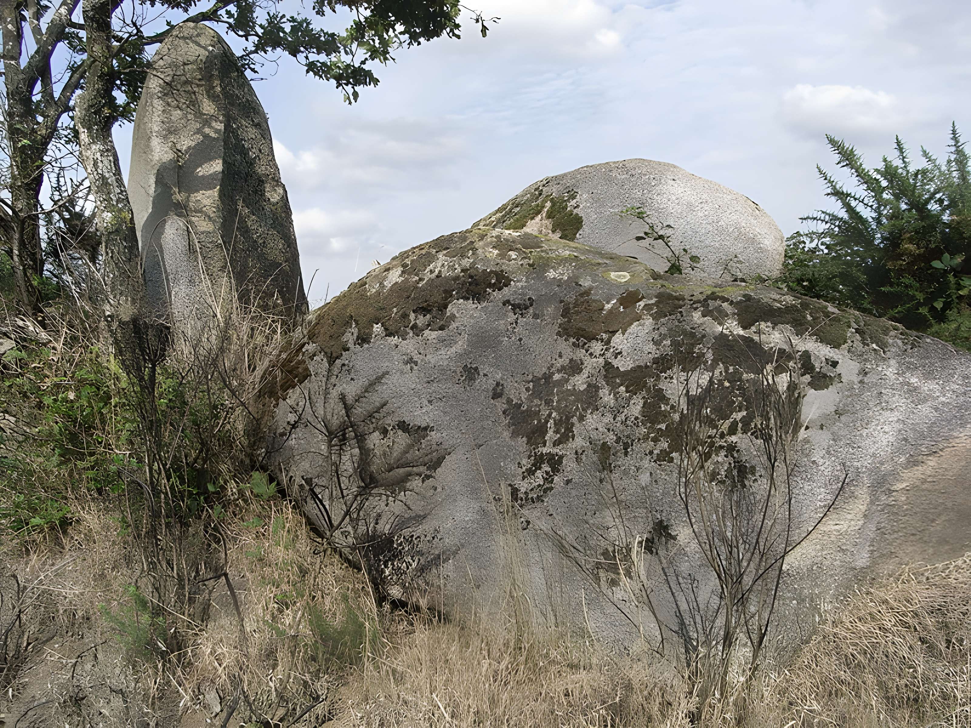 Menhir du moulin à vent de Normandeau à La Renaudière