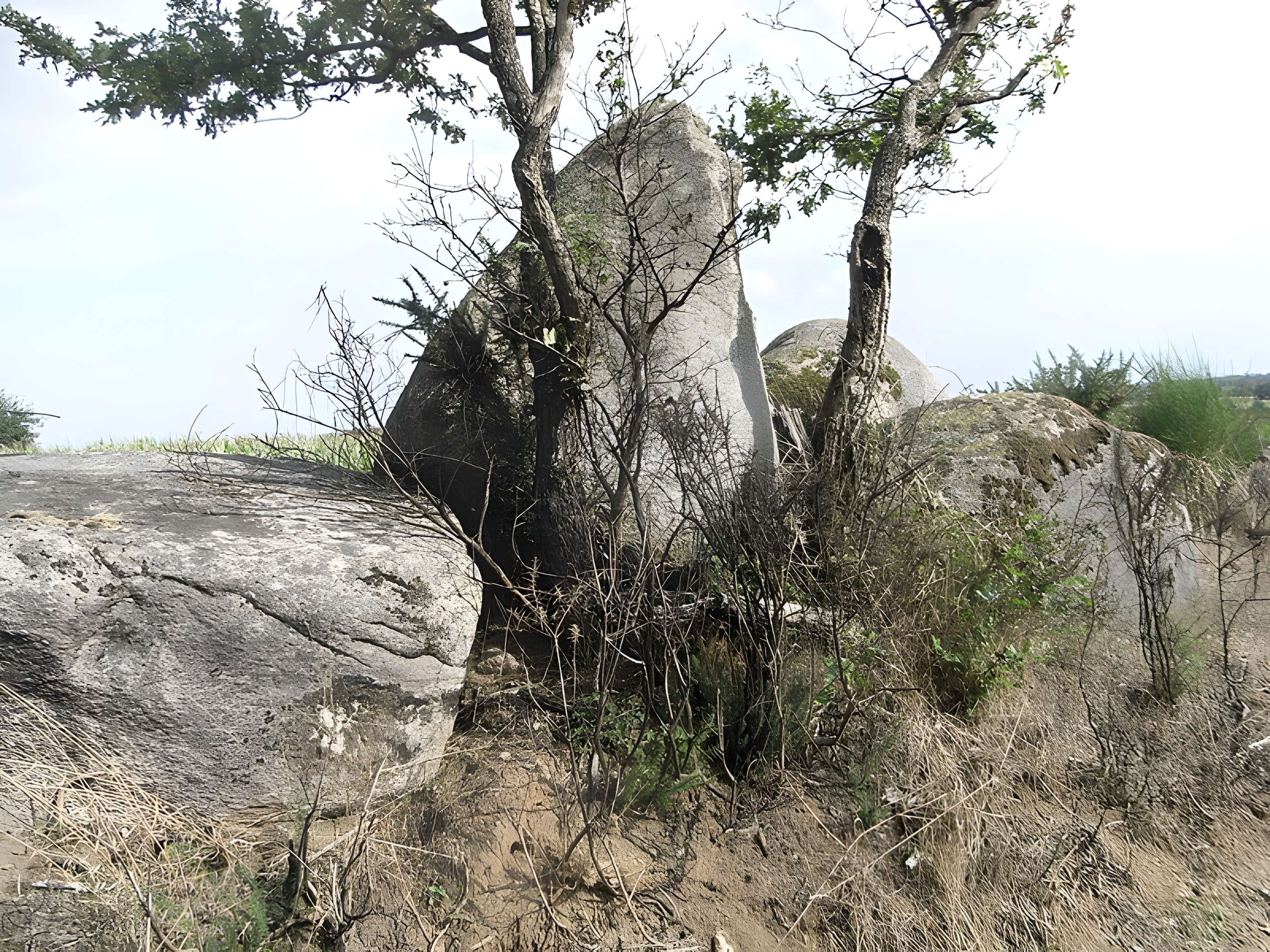 Menhir du moulin à vent de Normandeau à La Renaudière