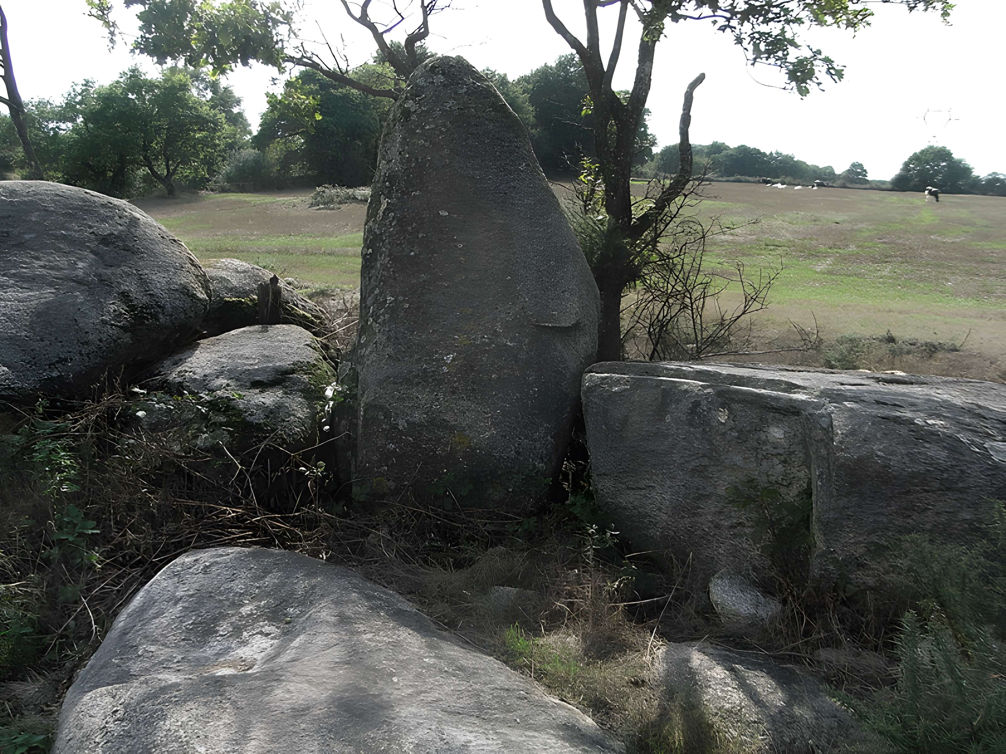 Menhir du moulin à vent de Normandeau à La Renaudière
