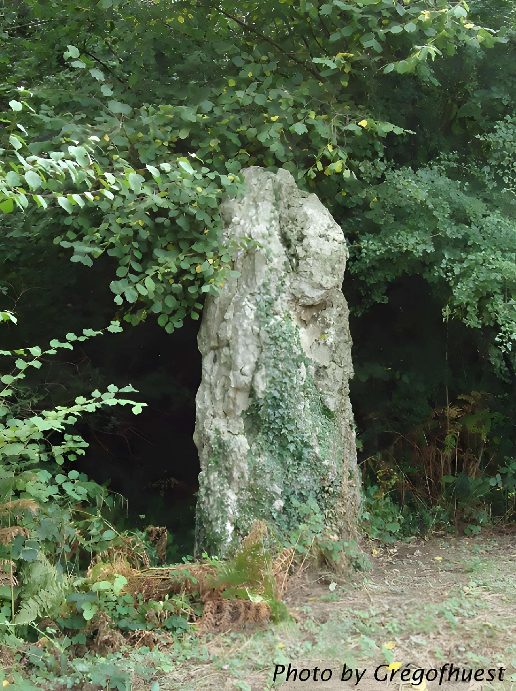 Menhir du Perray de Beaumont-Pied-de-Boeuf 