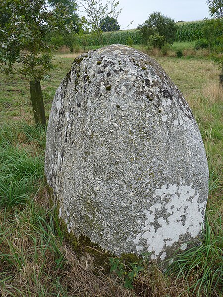 Photo de Menhir du Petit Vauridel de Plaintel