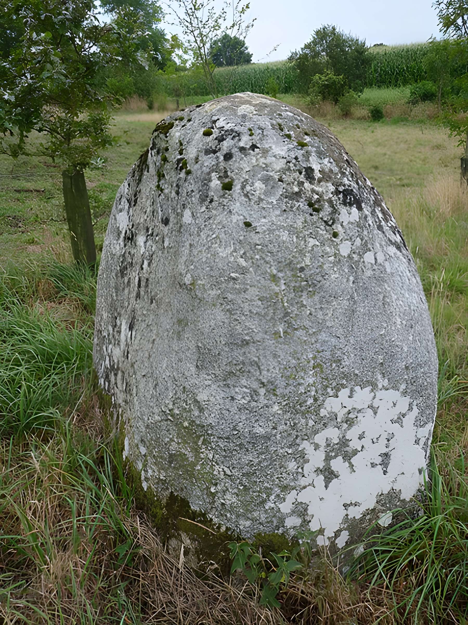 Menhir du Petit Vauridel de Plaintel