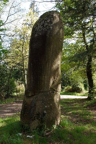 Photo de Menhir du Pic de Javerdat