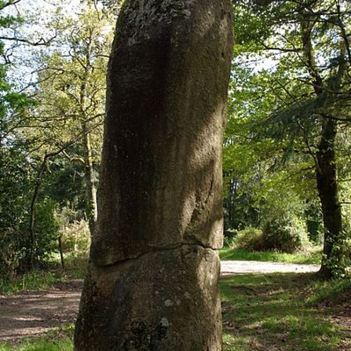 Photo de Menhir du Pic de Javerdat