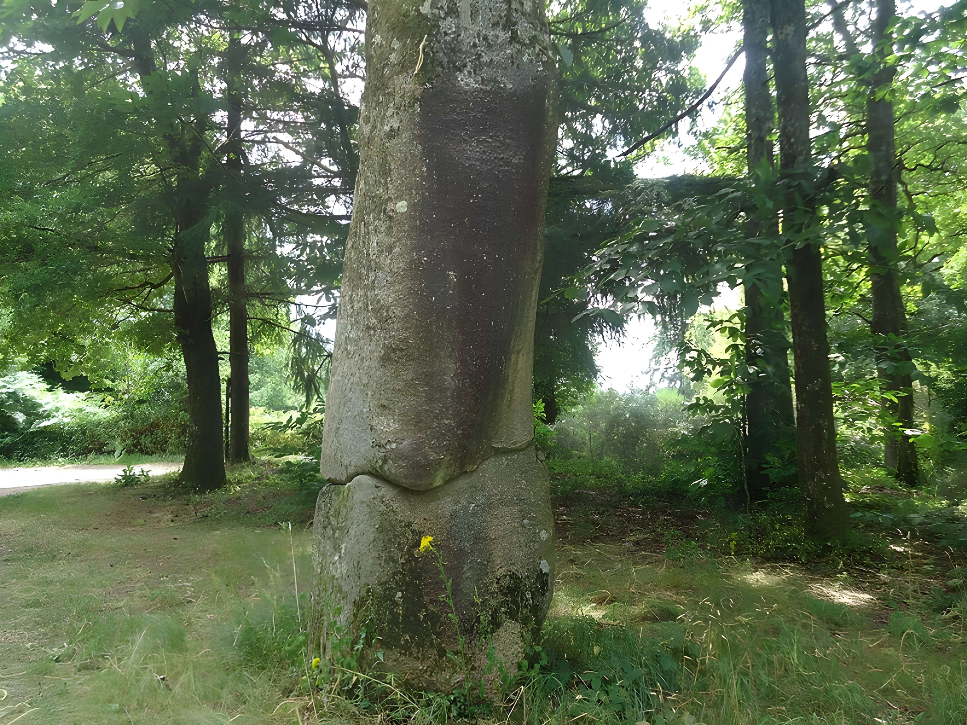 Menhir du Pic de Javerdat