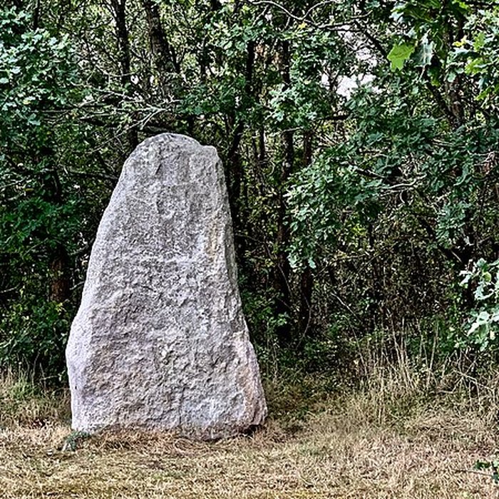 Photo de Menhir du Plessis-Gamat de Saint-Brevin-les-Pins