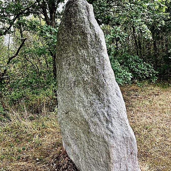 Photo de Menhir du Plessis-Gamat de Saint-Brevin-les-Pins