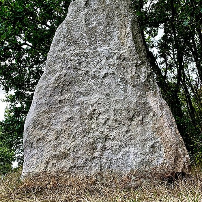 Photo de Menhir du Plessis-Gamat de Saint-Brevin-les-Pins