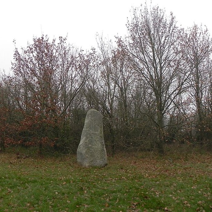 Photo de Menhir du Plessis-Gamat de Saint-Brevin-les-Pins
