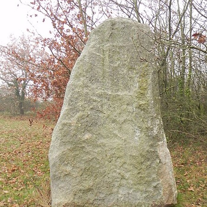 Photo de Menhir du Plessis-Gamat de Saint-Brevin-les-Pins