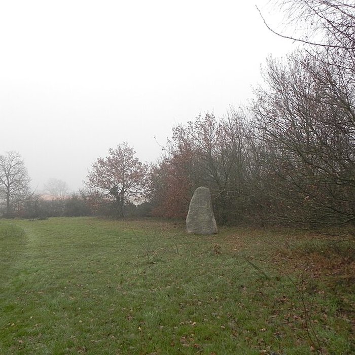 Photo de Menhir du Plessis-Gamat de Saint-Brevin-les-Pins