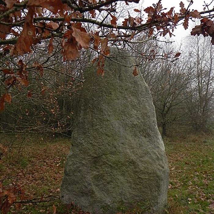 Photo de Menhir du Plessis-Gamat de Saint-Brevin-les-Pins