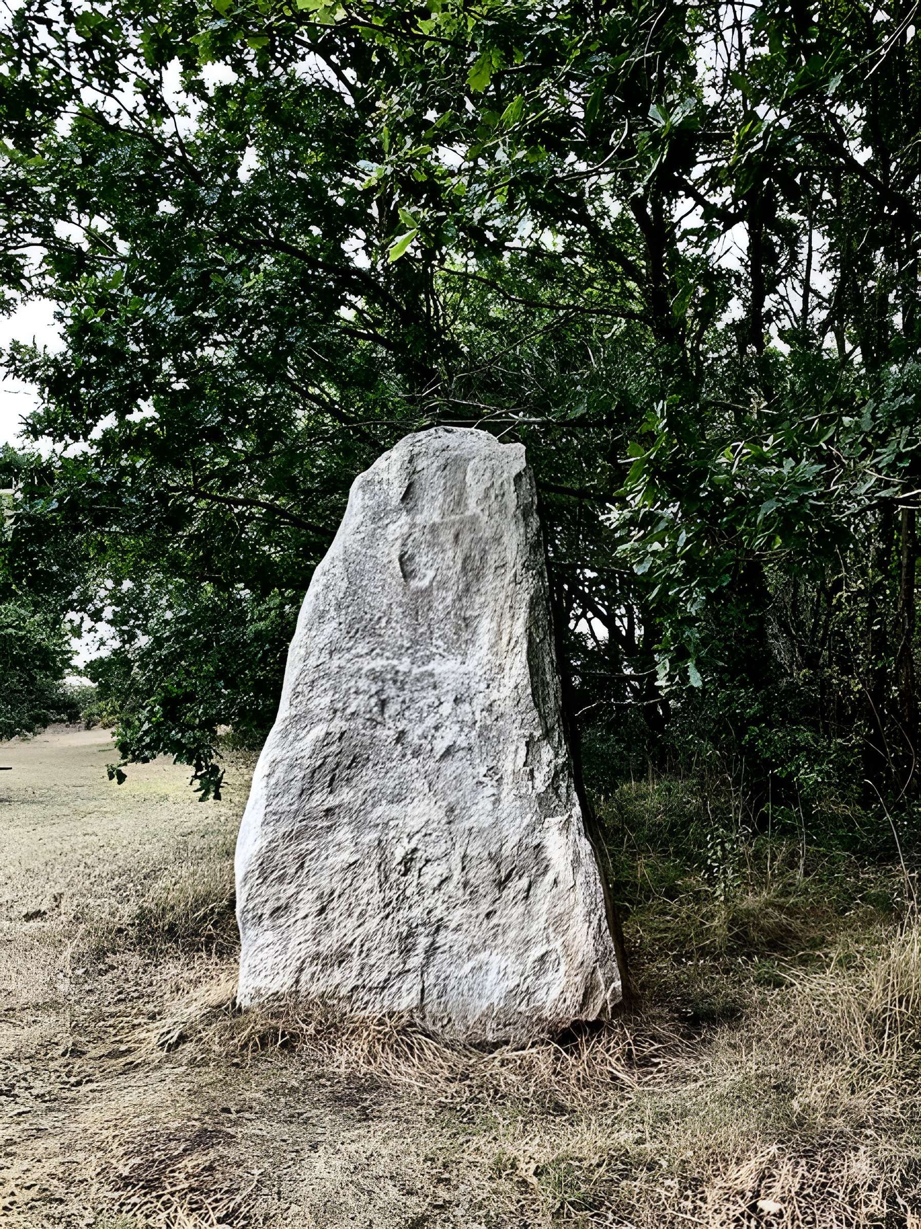 Menhir du Plessis-Gamat de Saint-Brevin-les-Pins