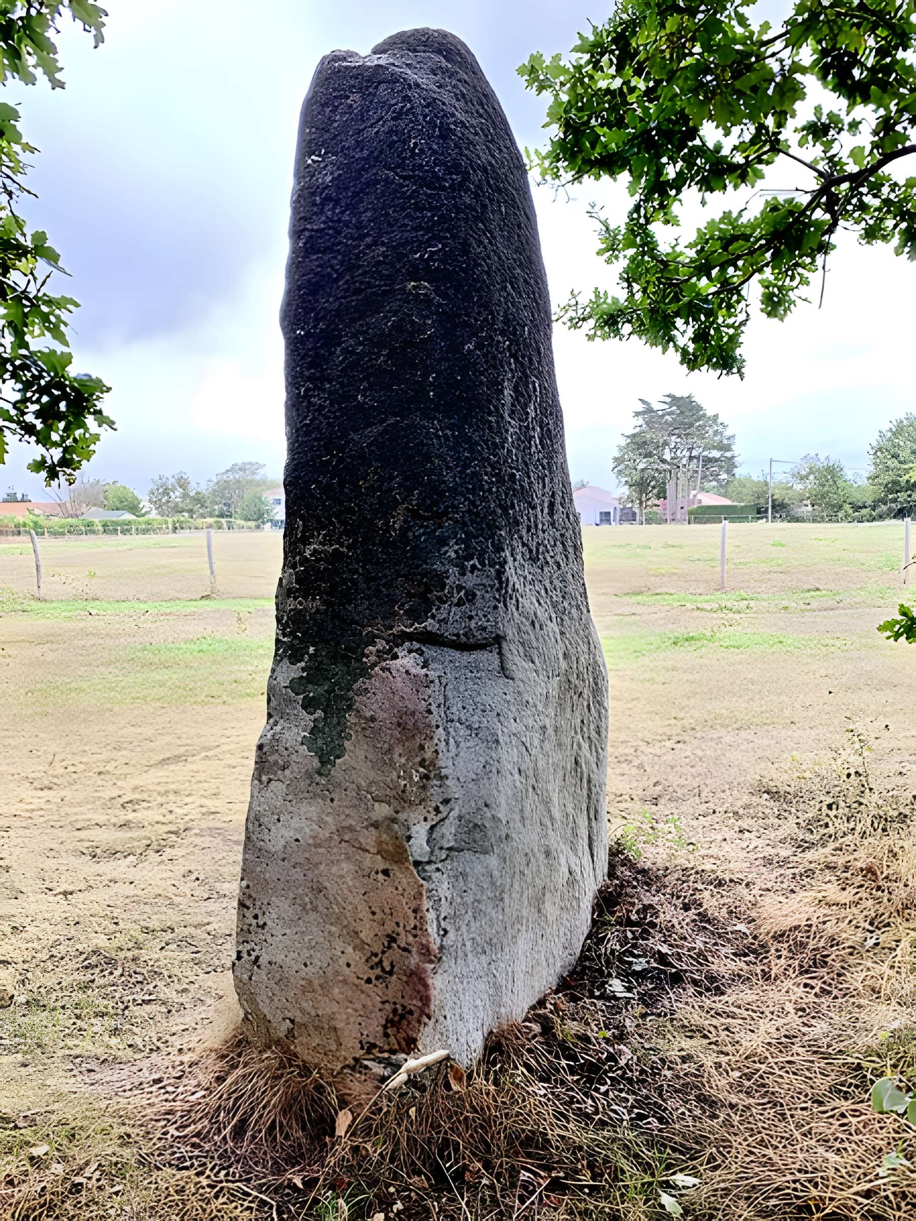 Menhir du Plessis-Gamat de Saint-Brevin-les-Pins