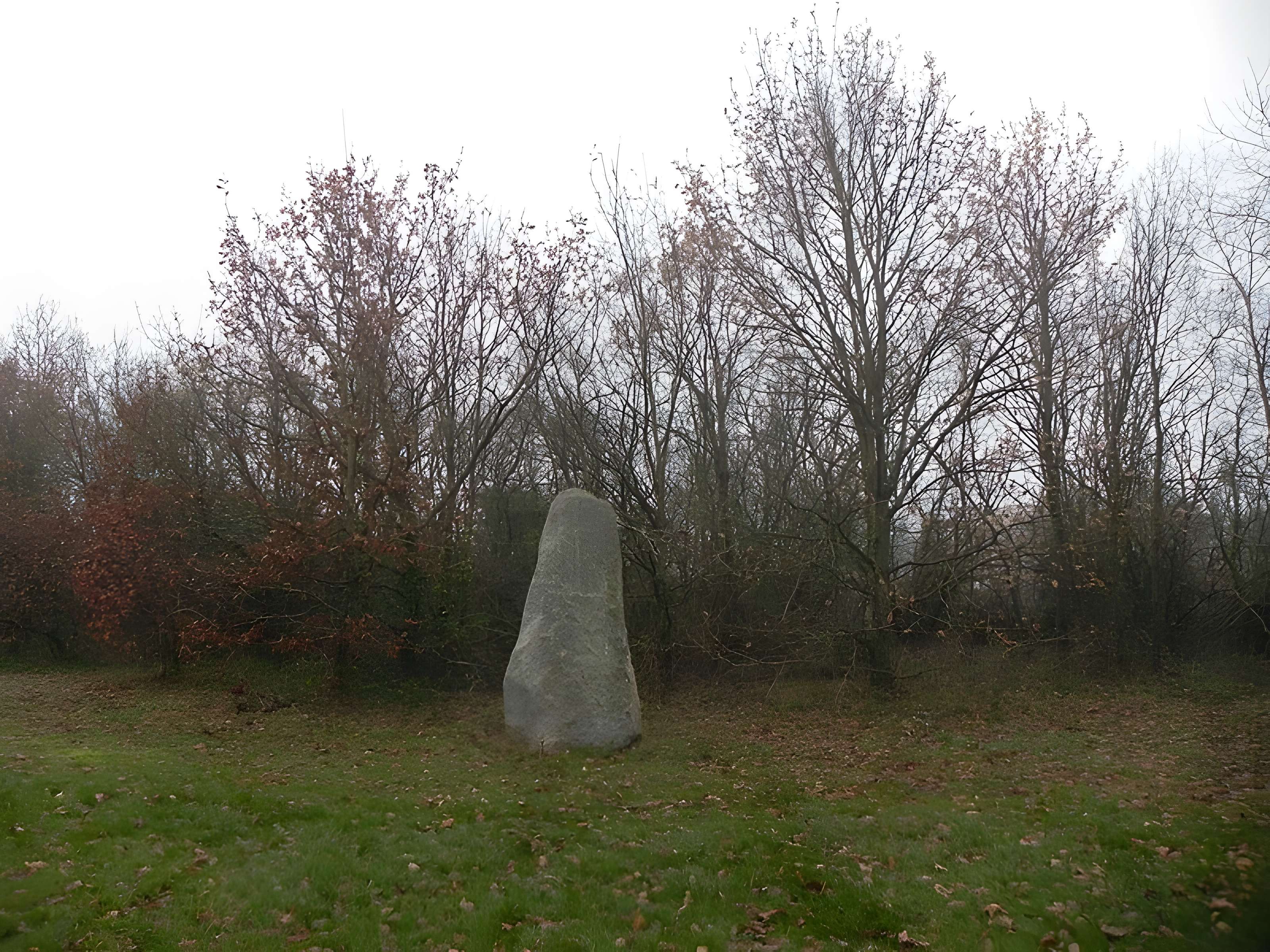 Menhir du Plessis-Gamat de Saint-Brevin-les-Pins