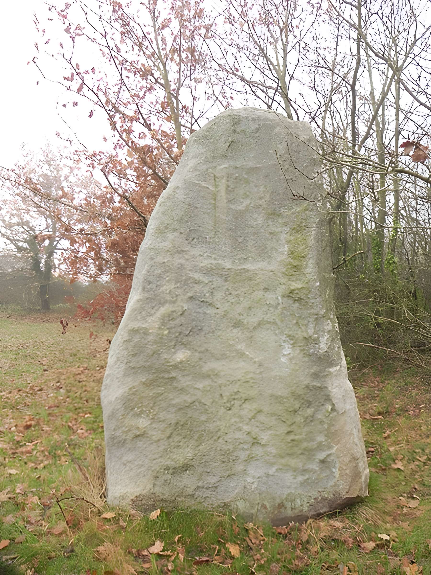Menhir du Plessis-Gamat de Saint-Brevin-les-Pins