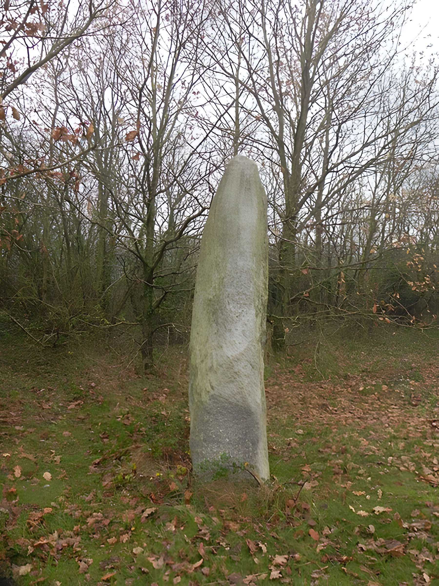Menhir du Plessis-Gamat de Saint-Brevin-les-Pins