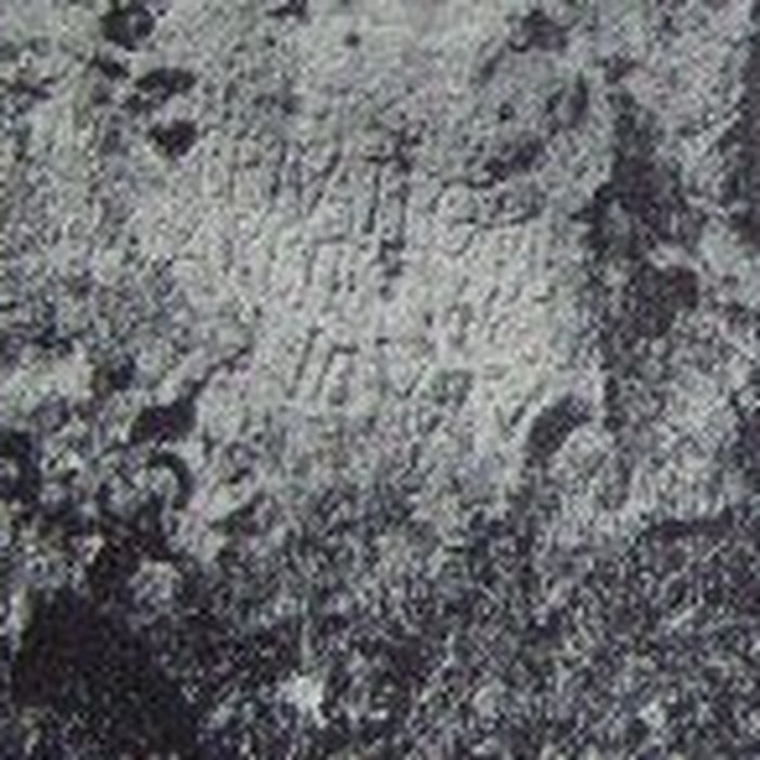 Photo de Menhir du Vieux-Poitiers de Naintré