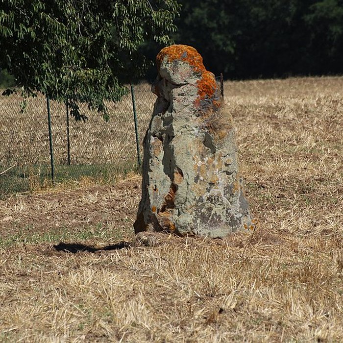Photo de Menhir du Vieux-Poitiers de Naintré