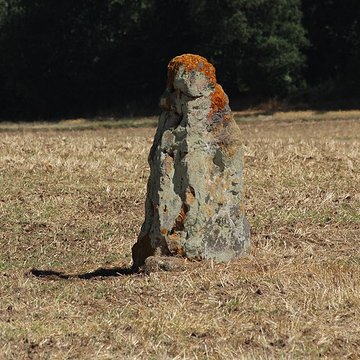 Menhir du Vieux-Poitiers de Naintré