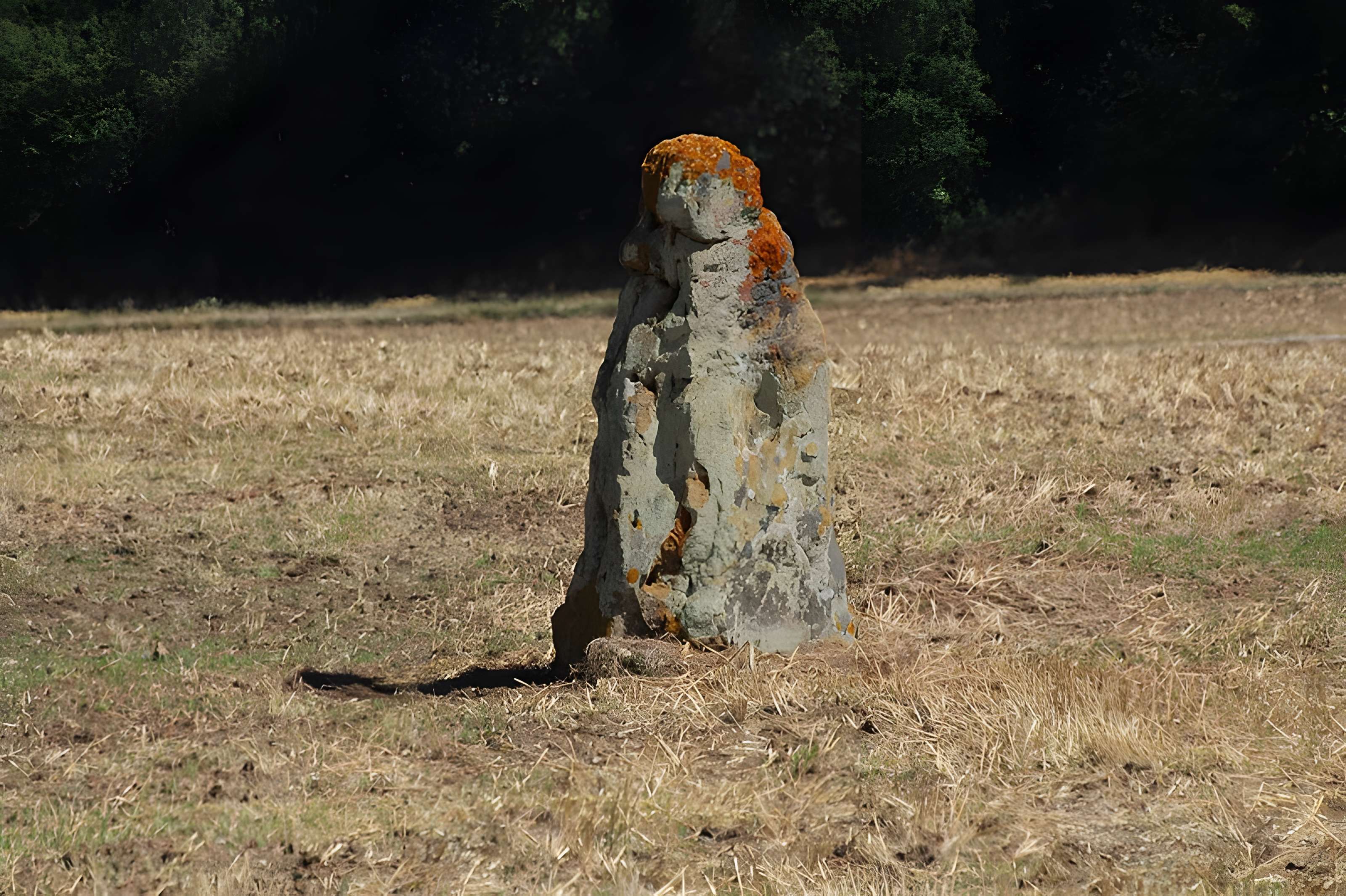 Menhir du Vieux-Poitiers de Naintré
