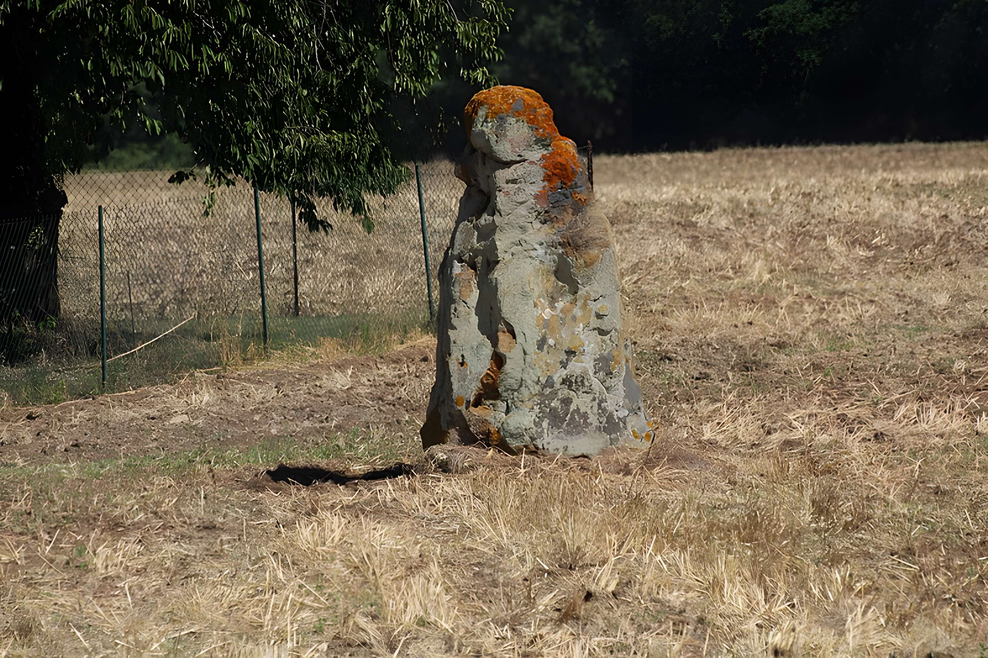 Menhir du Vieux-Poitiers de Naintré
