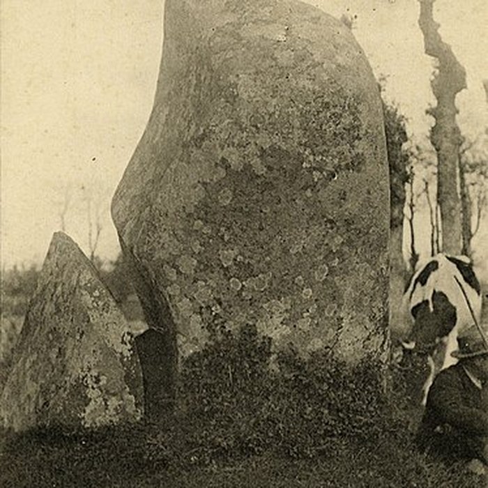 Photo de Menhir Le Sabot de Ploufragan