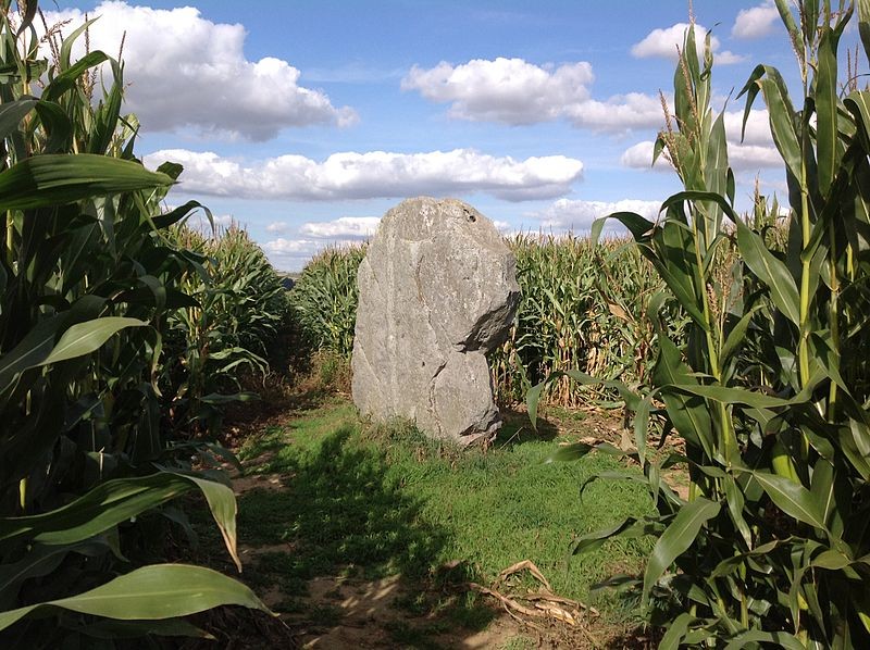 Photo de Menhir Pierre d'Oblicamp de Bavelincourt