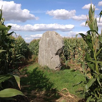 menhir pierre d oblicamp de bavelincourt