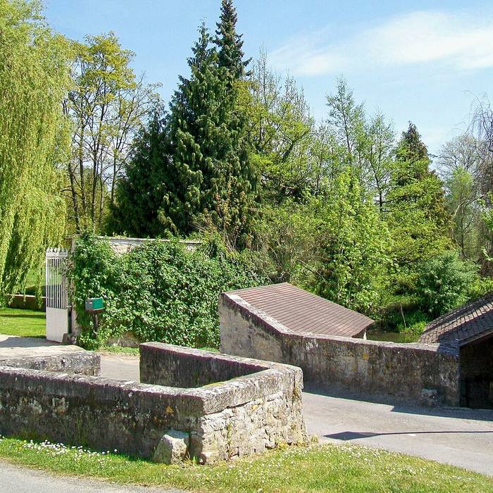 Photo de Menhir Queuse de Gargantua de Borest