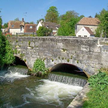 Menhir Queuse de Gargantua de Borest