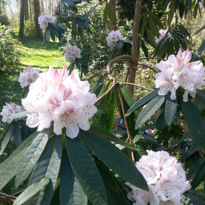 Photo de Château de Courcelles-sous-Moyencourt
