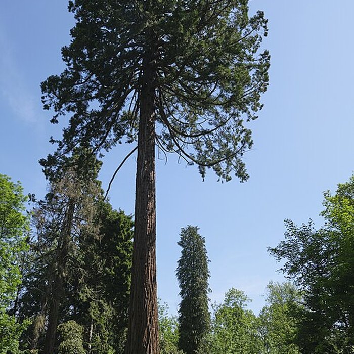 Photo de Château de Courcelles-sous-Moyencourt