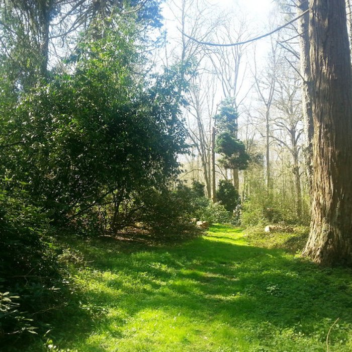 Photo de Château de Courcelles-sous-Moyencourt