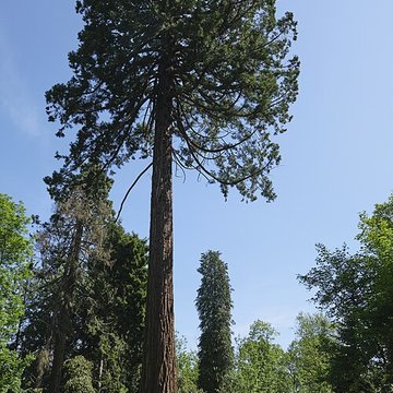 Château de Courcelles-sous-Moyencourt