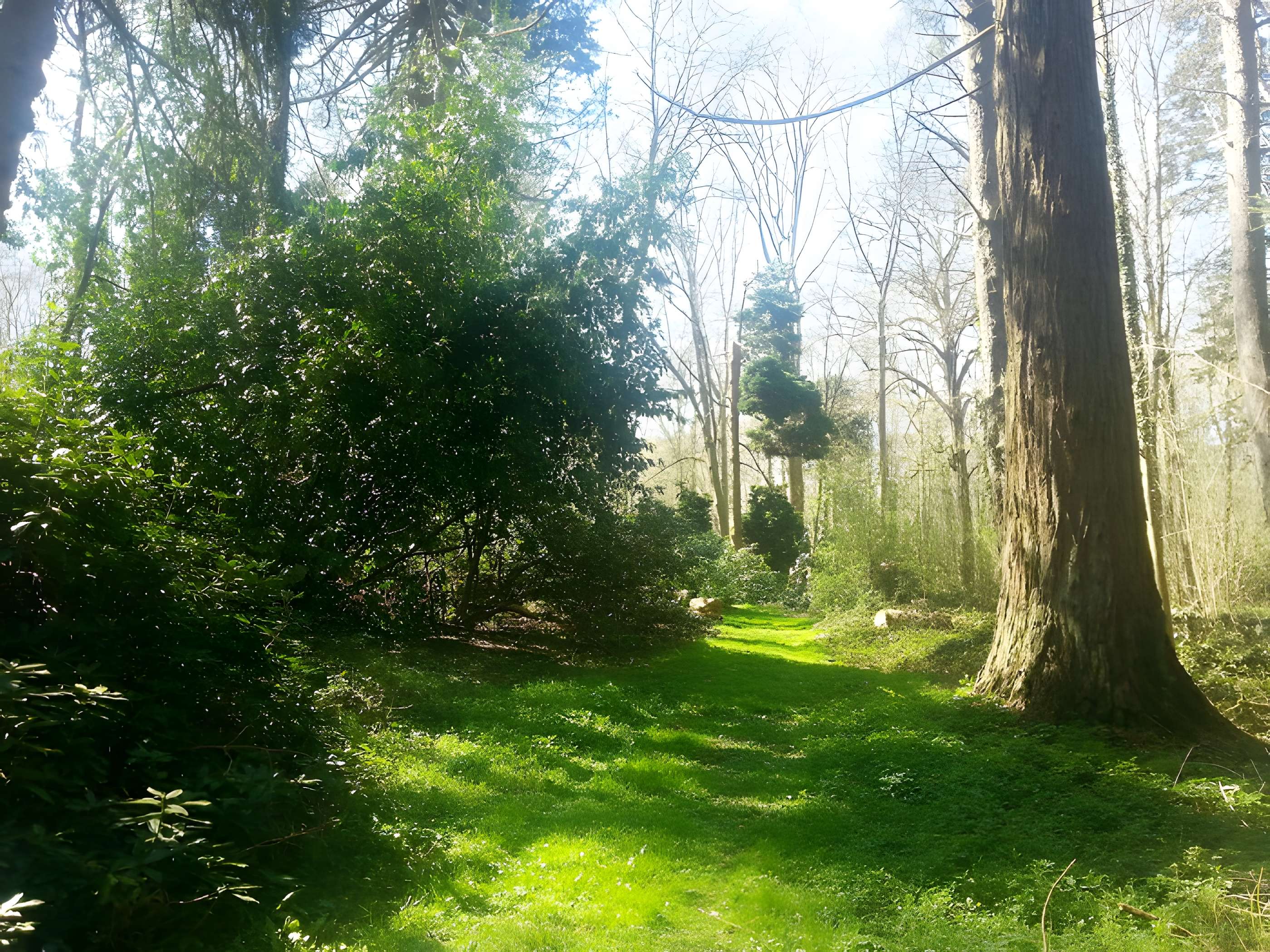 Château de Courcelles-sous-Moyencourt