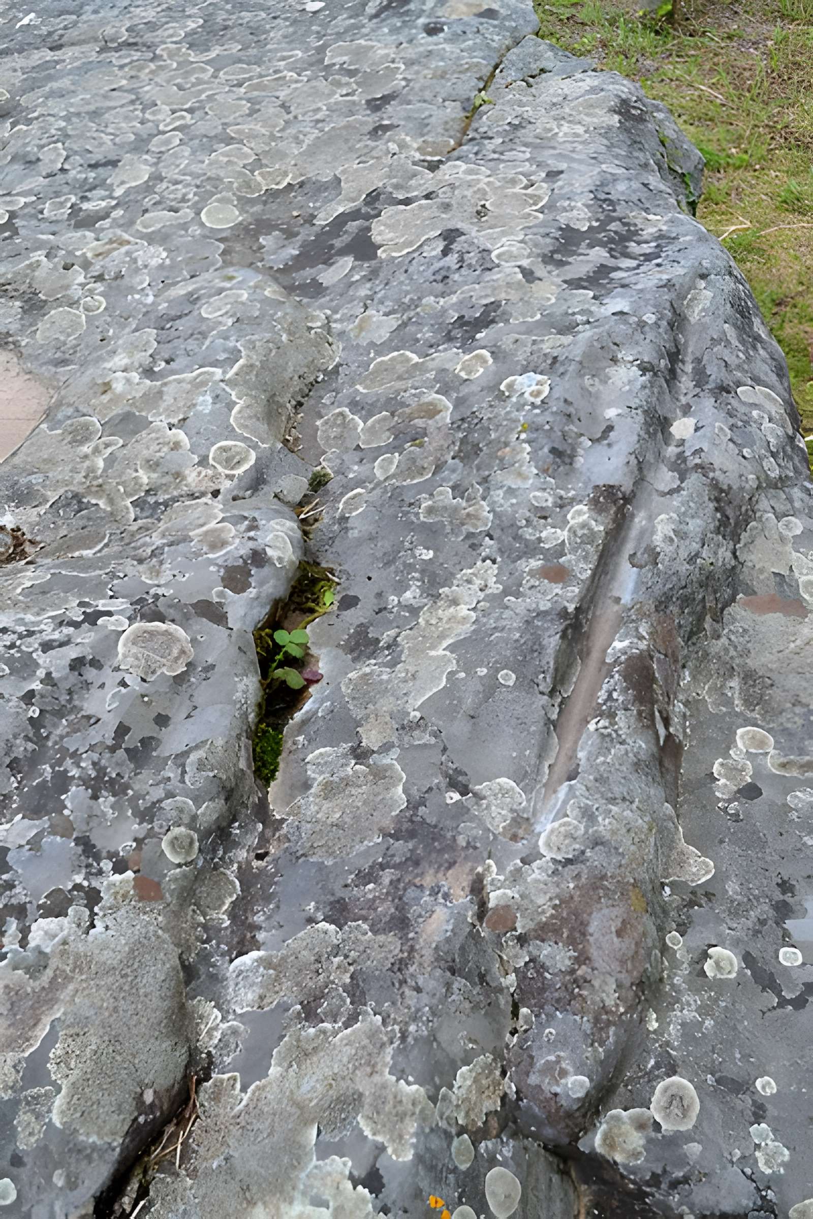 Menhir-polissoir de Souhé de Naintré