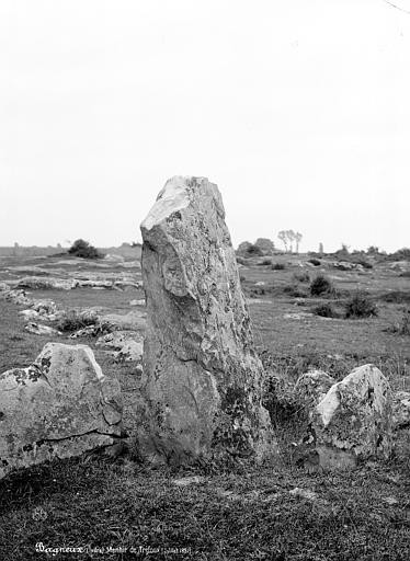 Photo de Menhirs à Tréfoux de Bagneux