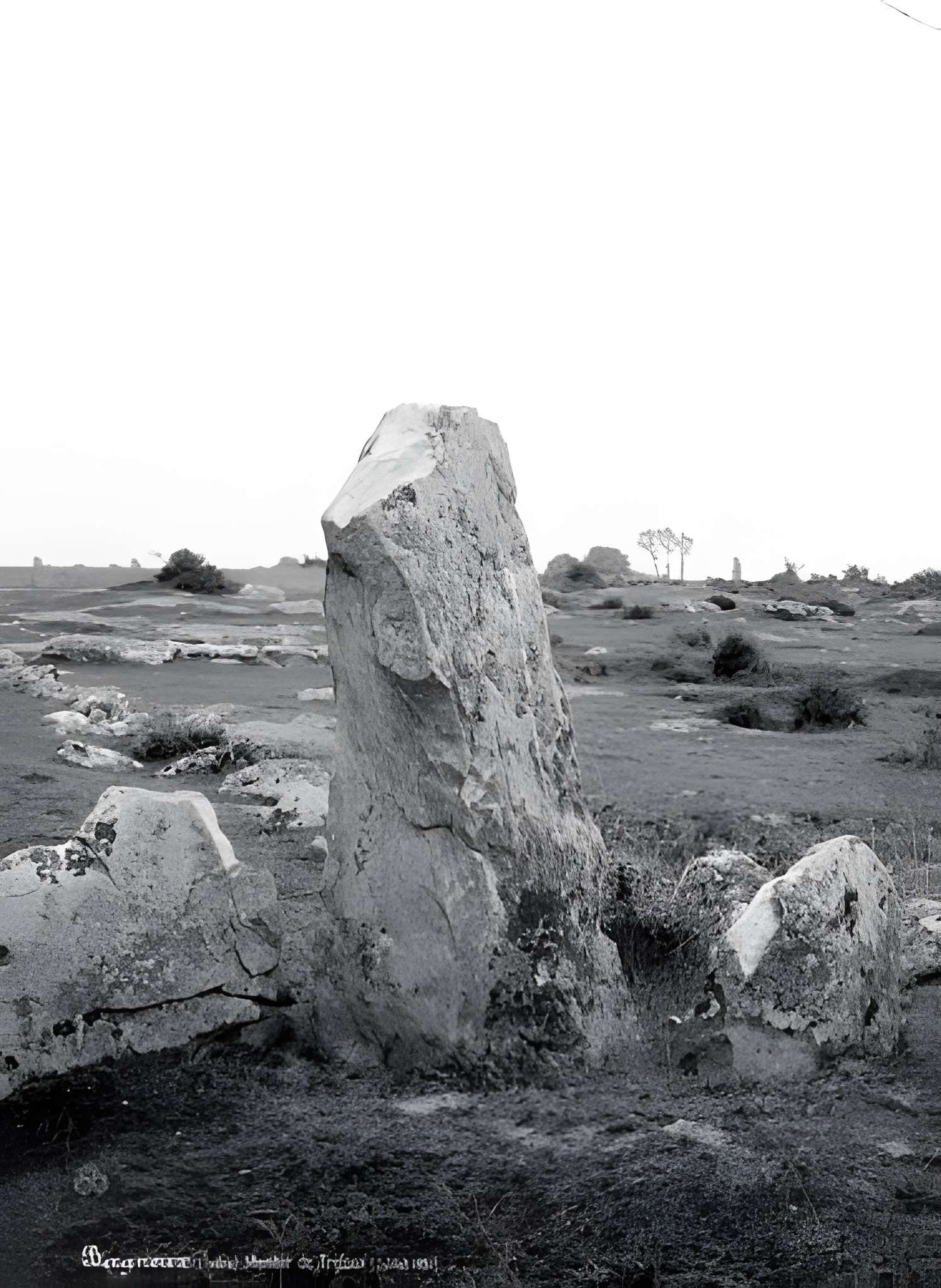 Menhirs à Tréfoux de Bagneux 